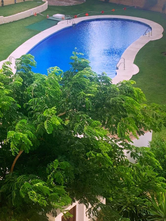 Sitio de Calahonda Lovely Beachfront Apartment In Calahonda מראה חיצוני תמונה